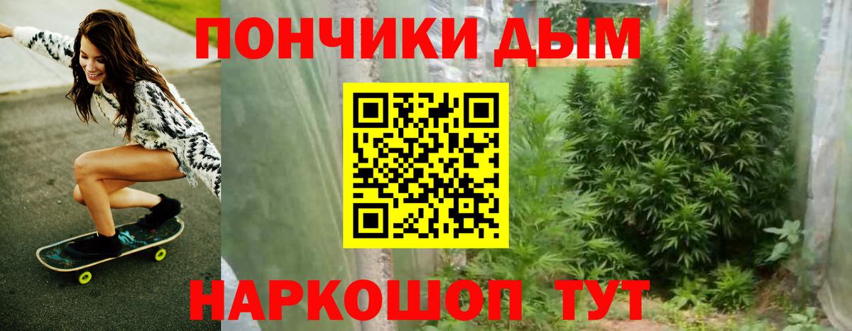 Канабис планчик Нальчик